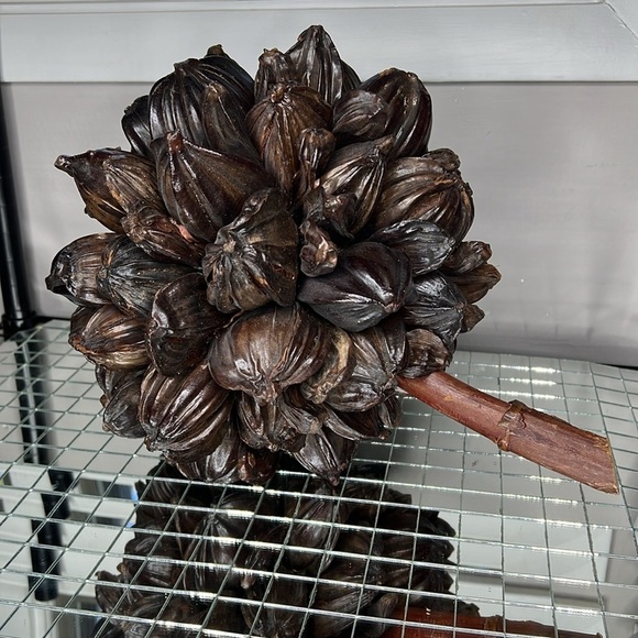 Dried Large Nipa Palm Fruit Cluster - Fully Intact - Picture 1 of 4